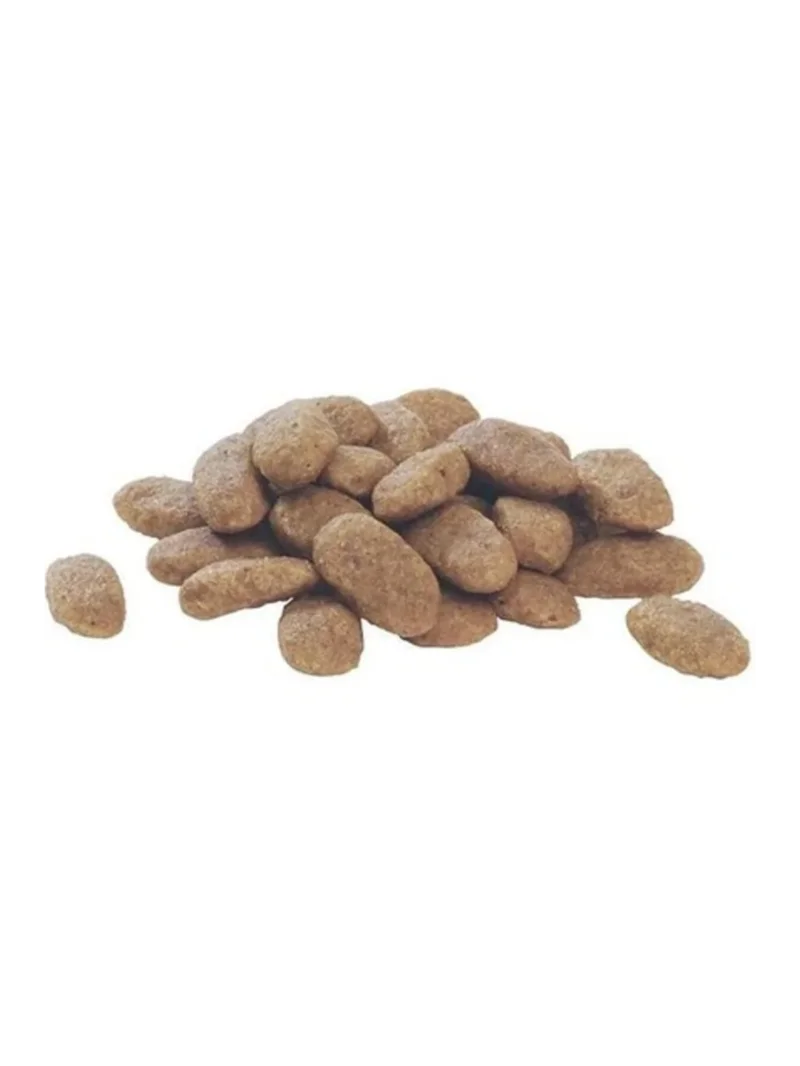 Ürün görseli 2