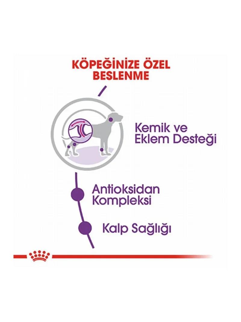 Ürün görseli 3