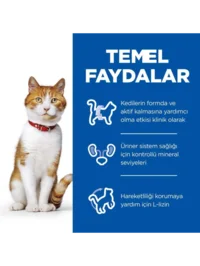 Ürün görseli 1