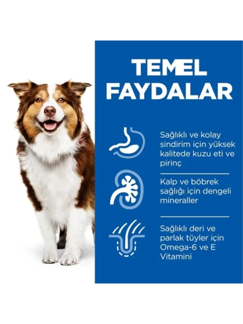 Ürün görseli 3