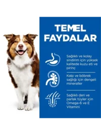 Ürün görseli 3