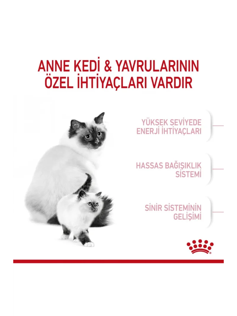 Ürün görseli 4