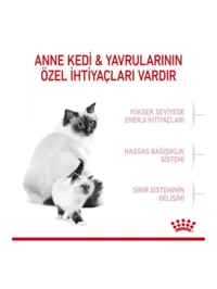 Ürün görseli 4