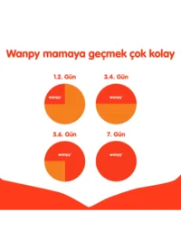 Ürün görseli 3