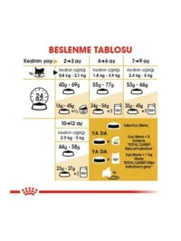 Ürün görseli 4