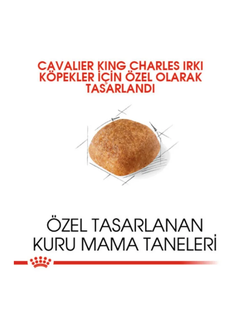 Ürün görseli 5