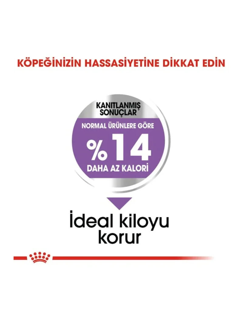 Ürün görseli 4