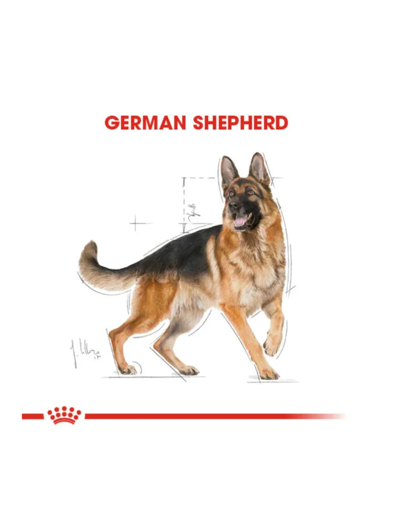 Ürün görseli 5