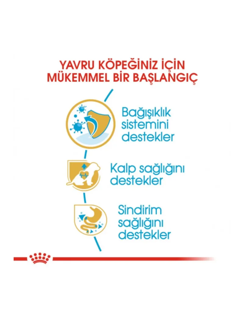 Ürün görseli 4