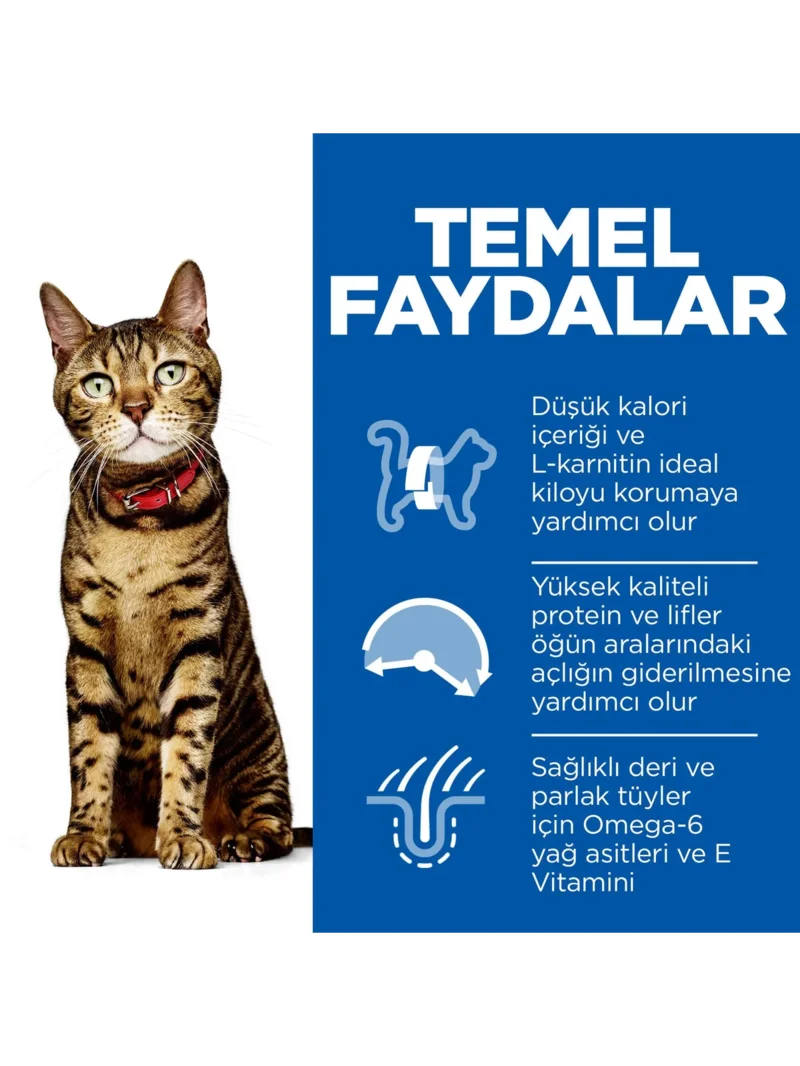 Ürün görseli 3