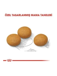 Ürün görseli 4