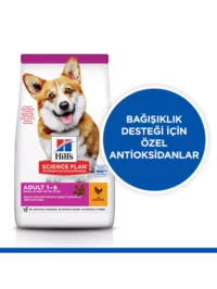 Ürün görseli 5