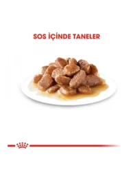 Ürün görseli 2
