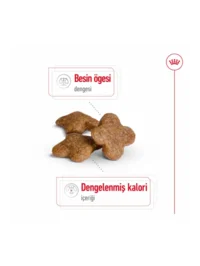 Ürün görseli 2