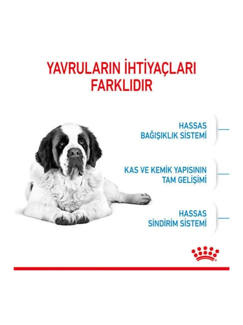 Ürün görseli 6