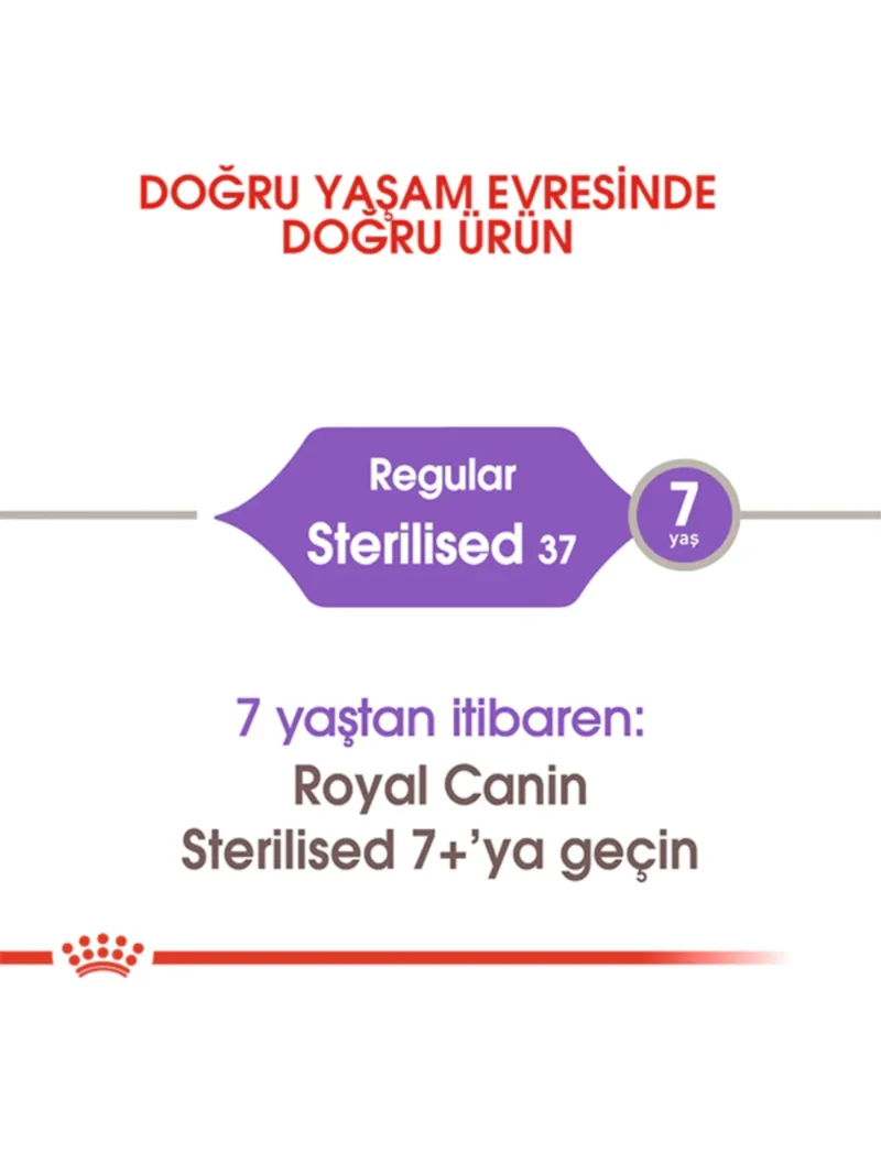 Ürün görseli 4