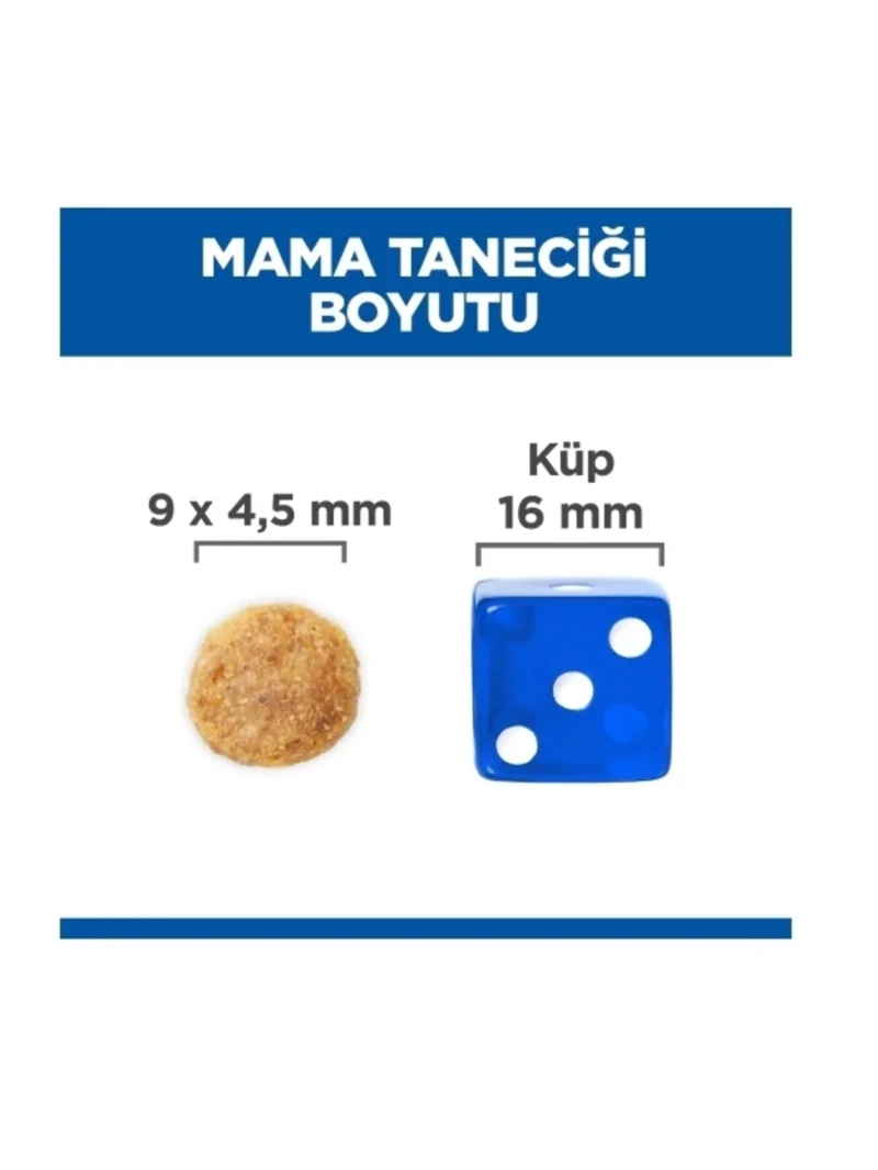 Ürün görseli 2