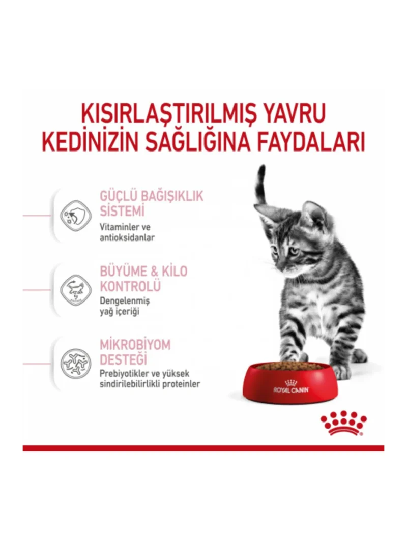 Ürün görseli 4