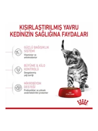 Ürün görseli 4