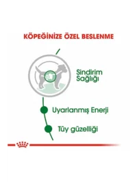 Ürün görseli 2
