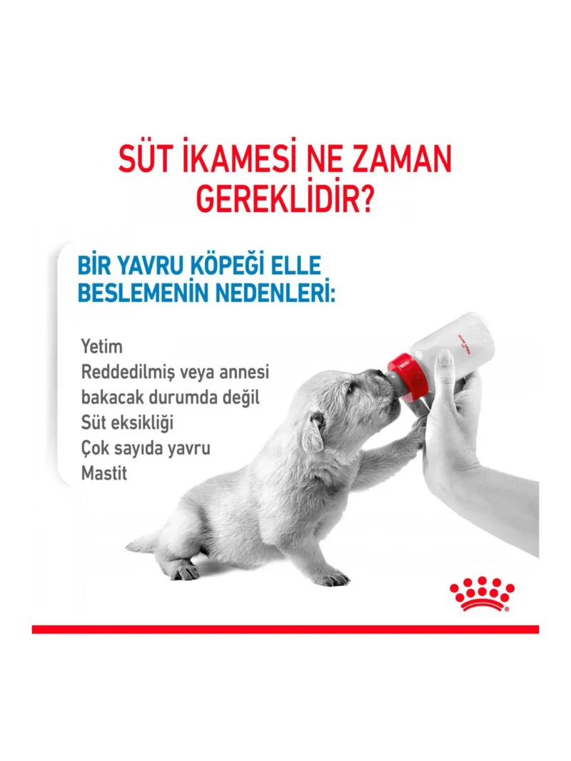 Ürün görseli 6