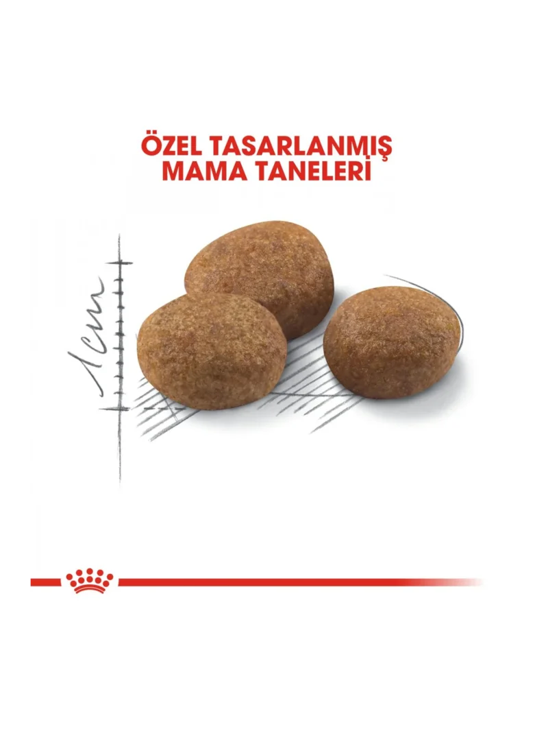 Ürün görseli 6