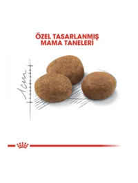 Ürün görseli 6