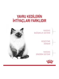 Ürün görseli 7