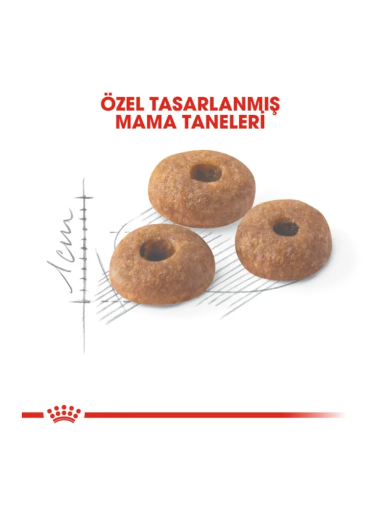 Ürün görseli 4