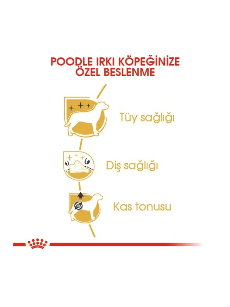 Ürün görseli 2