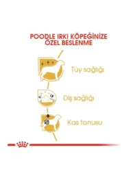 Ürün görseli 2
