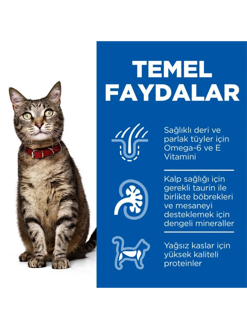 Ürün görseli 3