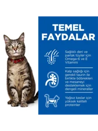 Ürün görseli 3