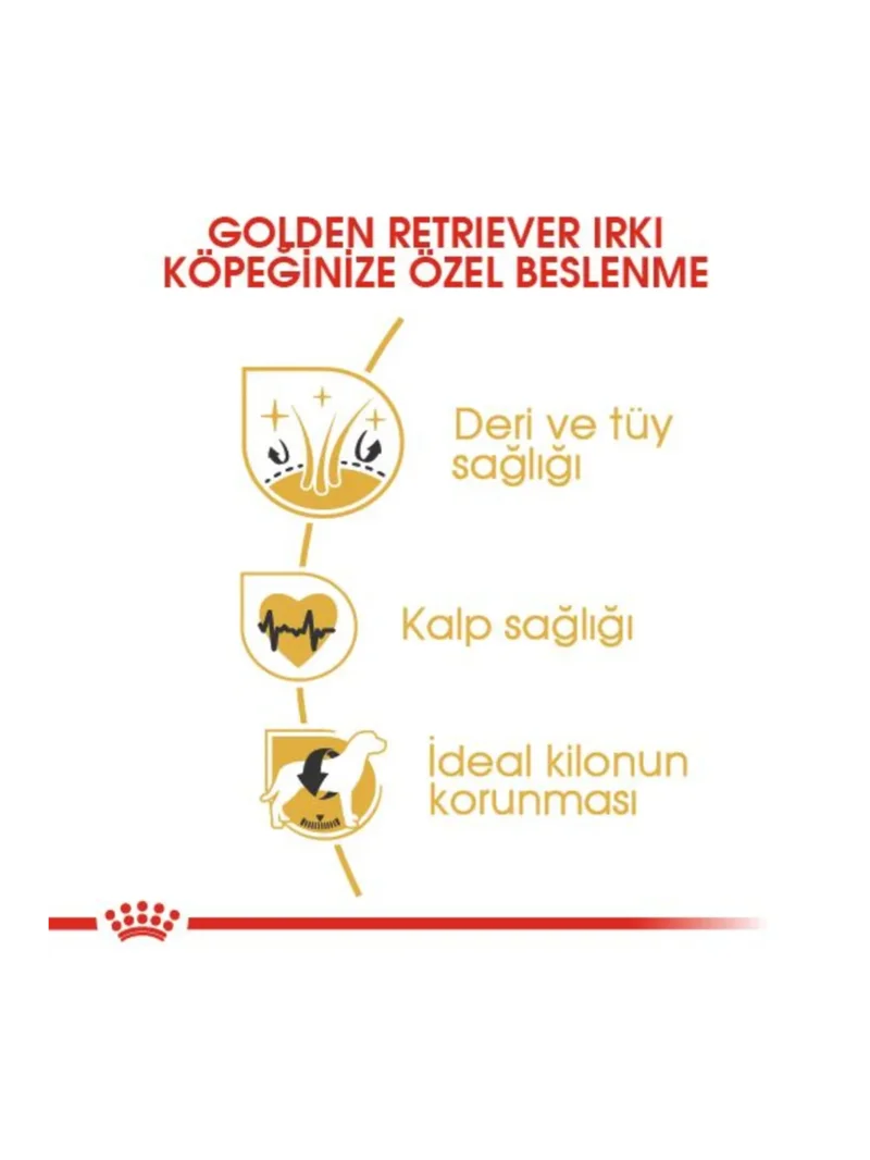 Ürün görseli 4