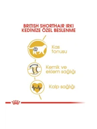 Ürün görseli 5