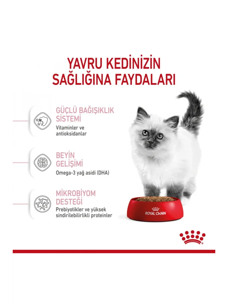 Ürün görseli 4