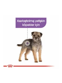 Ürün görseli 2