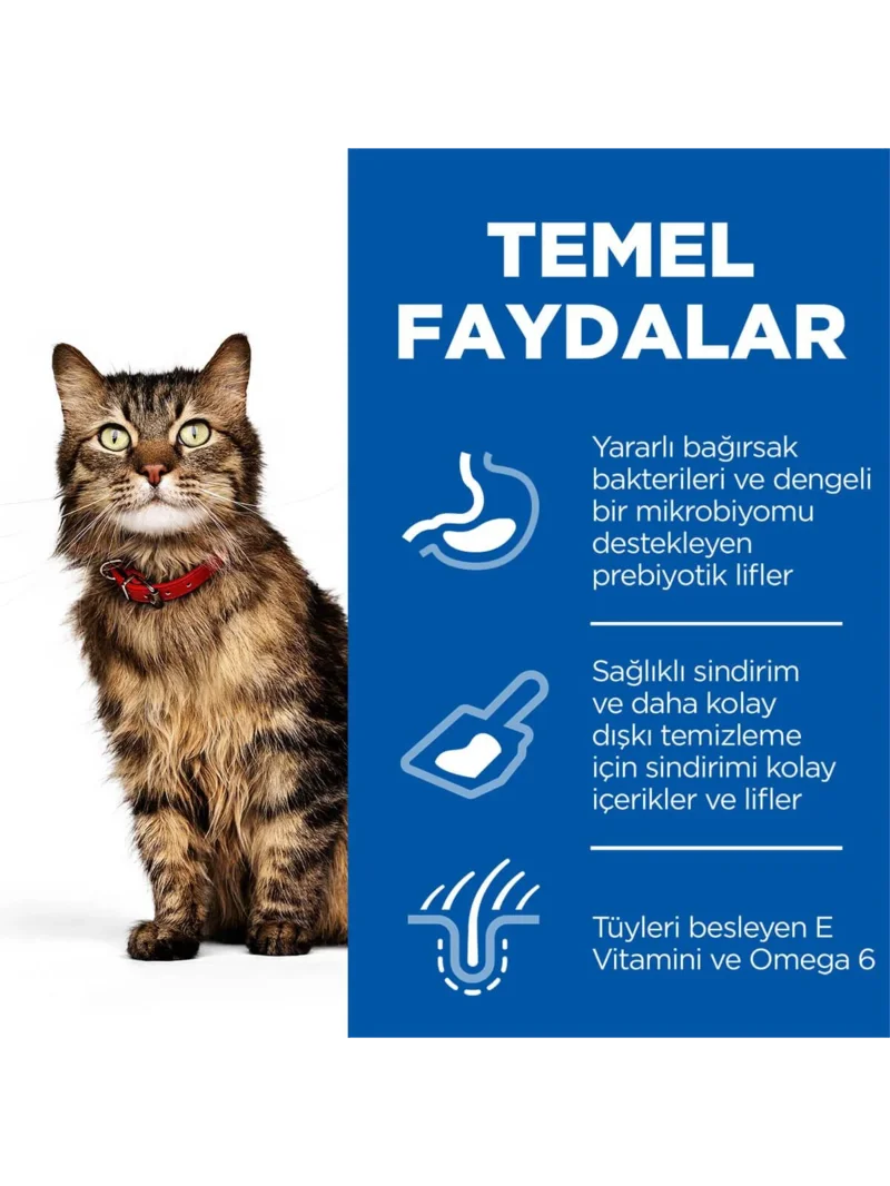 Ürün görseli 3