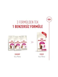 Ürün görseli 2
