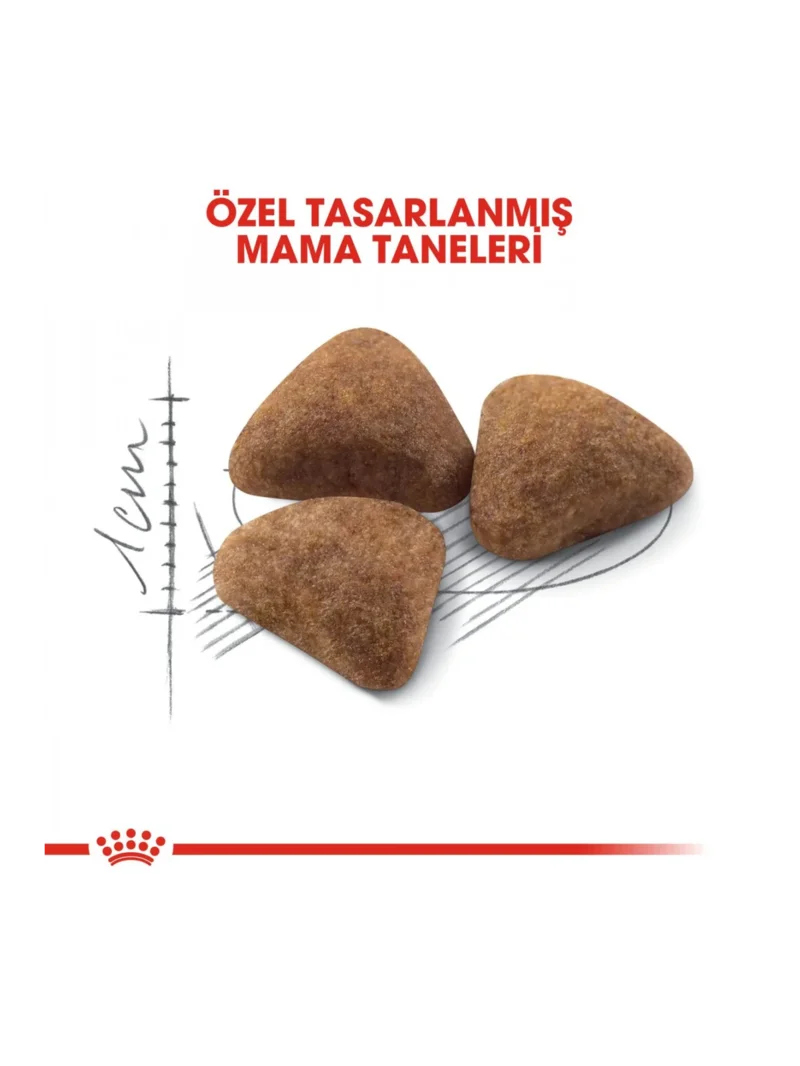 Ürün görseli 6