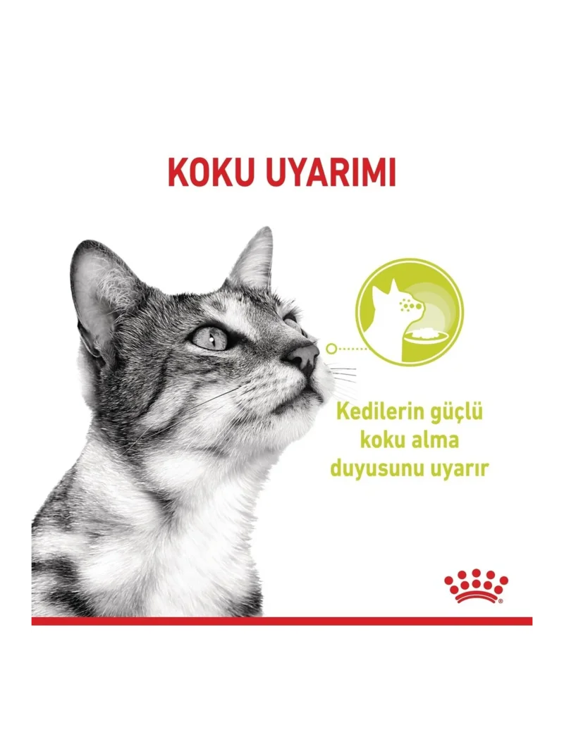 Ürün görseli 3