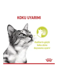 Ürün görseli 3
