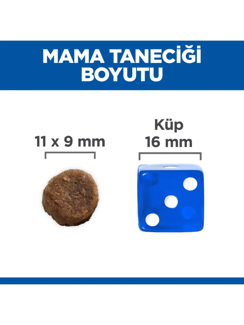 Ürün görseli 3