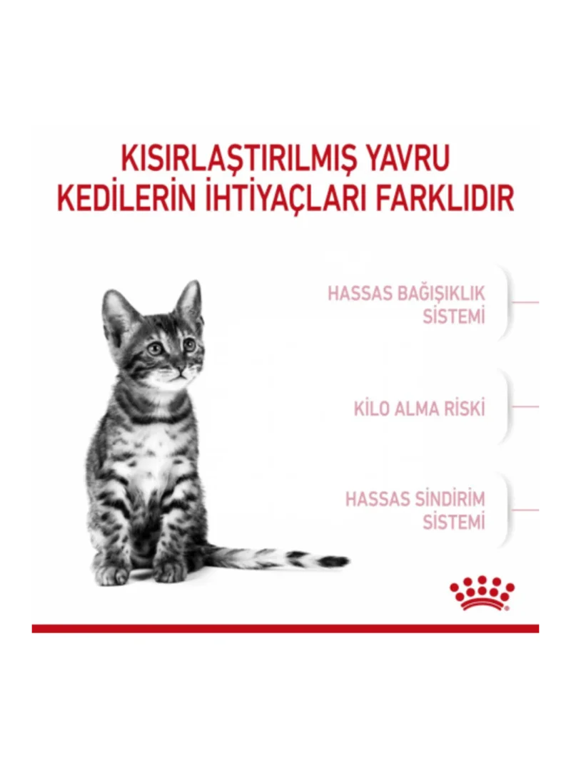 Ürün görseli 3