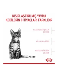 Ürün görseli 3