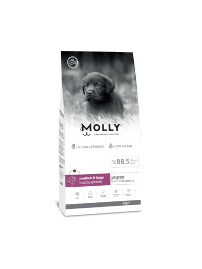Molly Medium&Large Kuzu Etli Yaban Mersinli Köpek Maması 2 KG