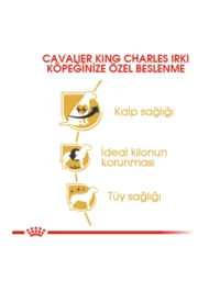 Ürün görseli 3