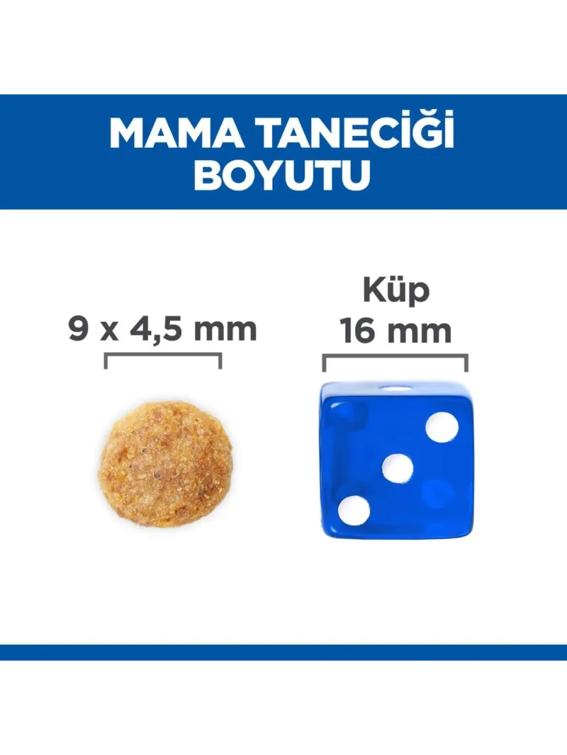 Ürün görseli 3