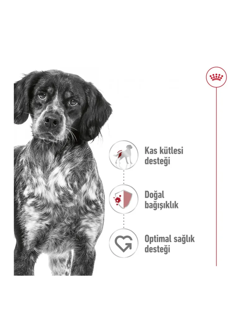 Ürün görseli 3