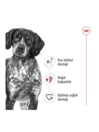 Ürün görseli 3